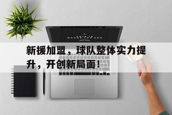 新援加盟，球队整体实力提升，开创新局面！的简单介绍